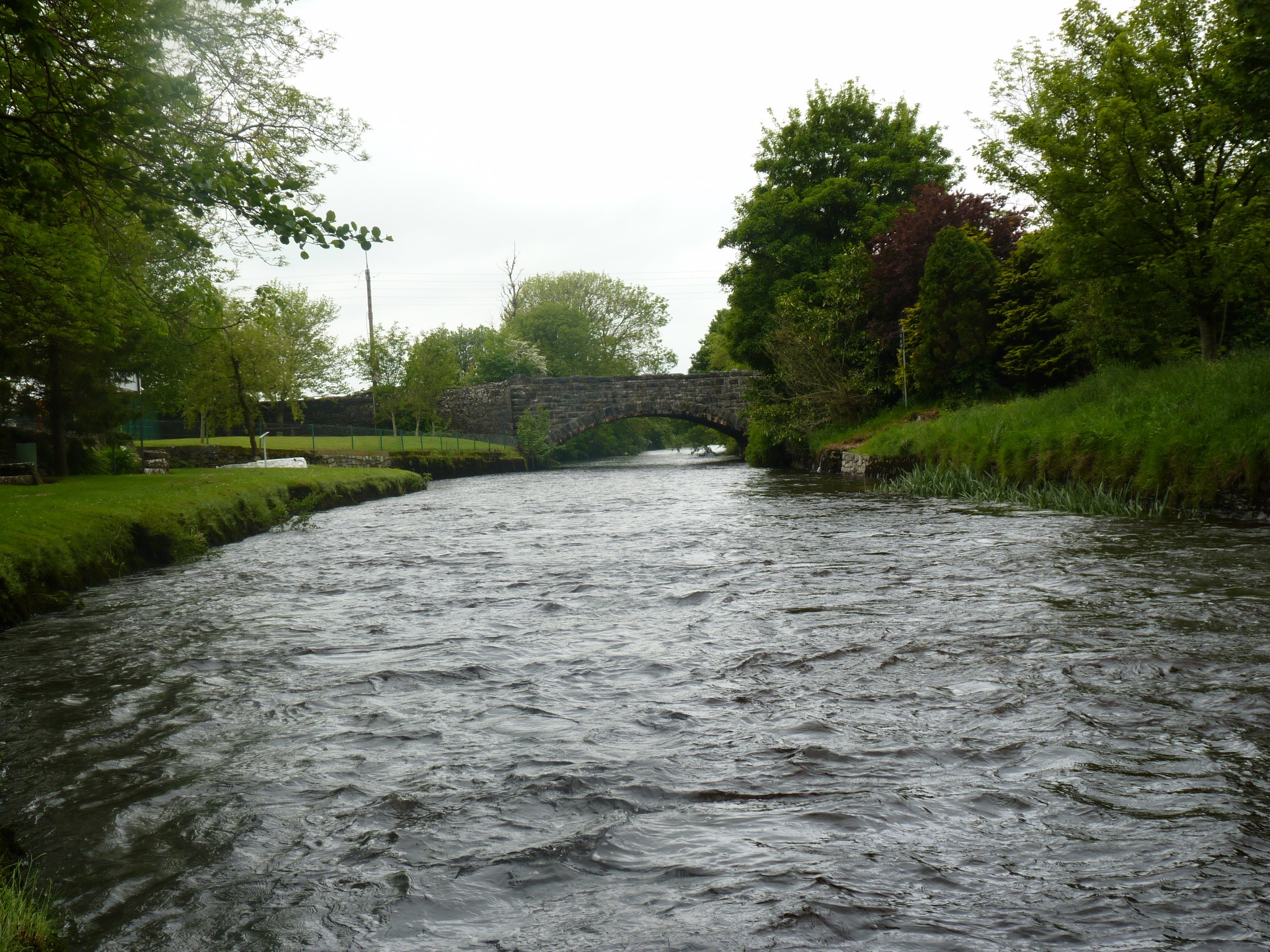 A picture the the River Clare going under the N17 at Milltown