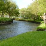 A fisherman Fly Fishing for trout on the River Clare at Milltown Co. Galway